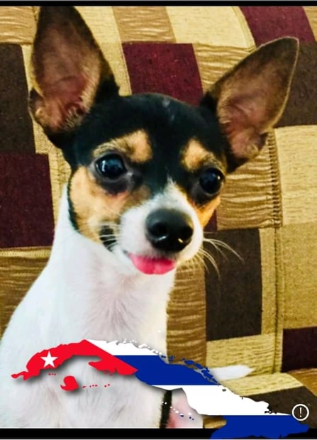 Mani, Chihuahua