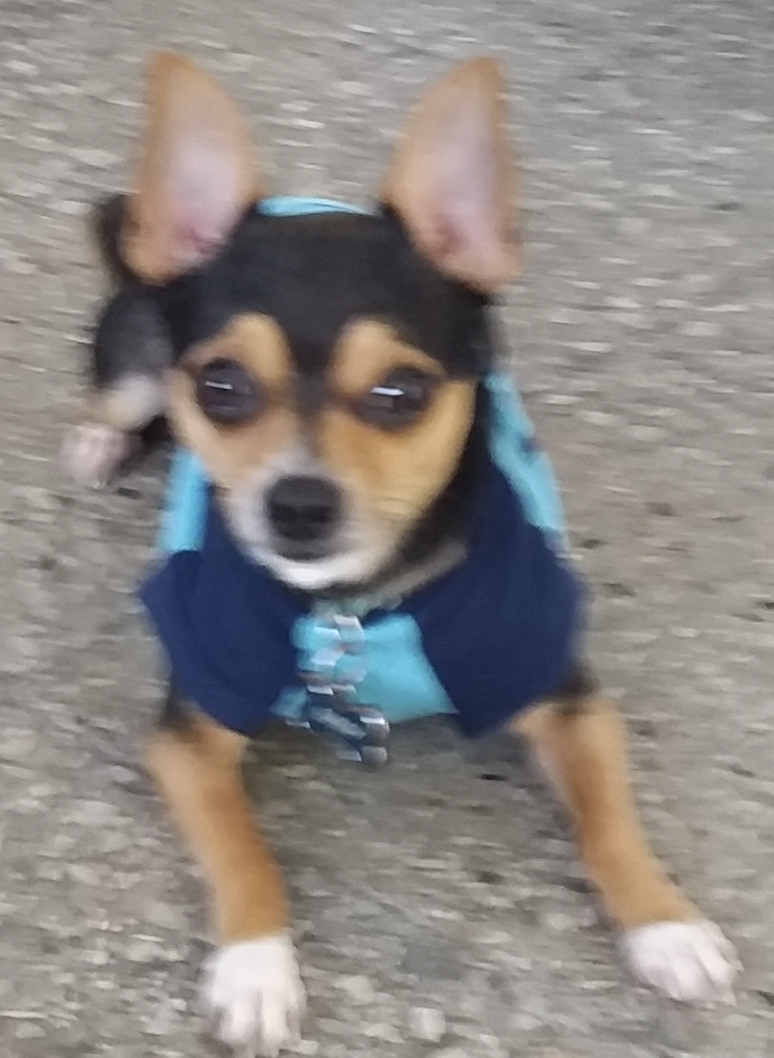 Buddy Sierra Portal, Chihuahua